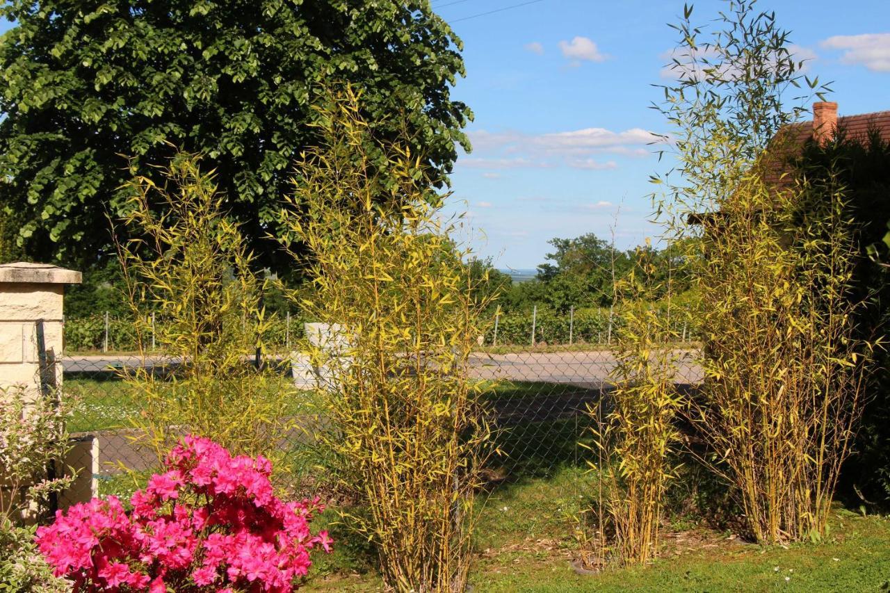 La Tuiliere Bed & Breakfast Mutigny Екстериор снимка
